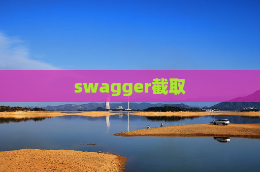 swagger截取